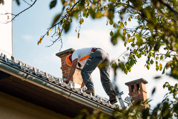 Best Local Roofing Companies  in Redway, CA