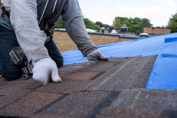 Best Best Roofing Contractors  in Redway, CA