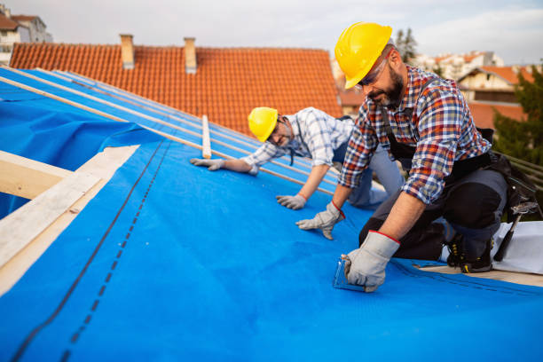 Best Roof Gutter Cleaning  in Redway, CA